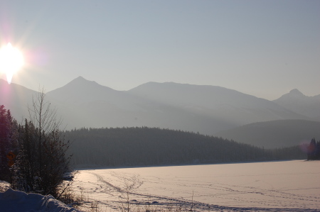 Jasper - Patricia Lake