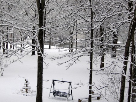 Feb. 2010- Snow Storm #1