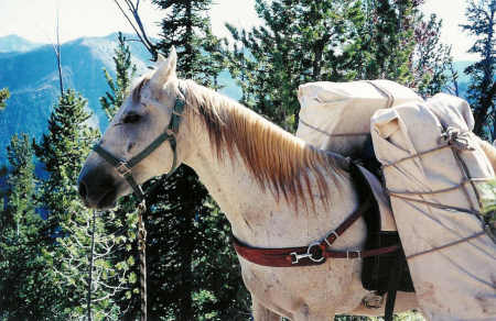 Adam on trail in Idaho