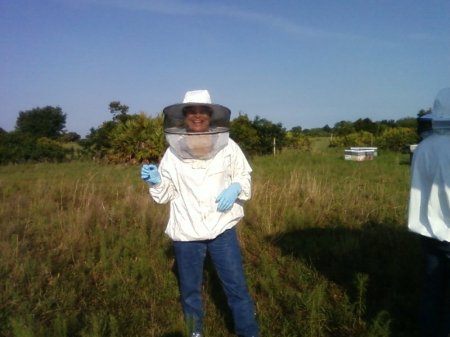 Honeybee research project with USDA