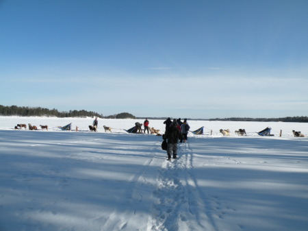 Dogsled Adventure 2008