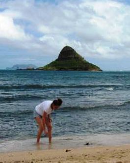 Chinaman's Hat