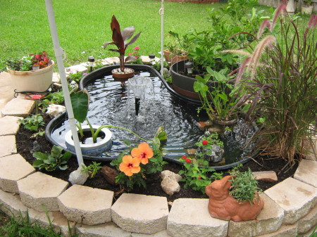 MY LITTLE POND