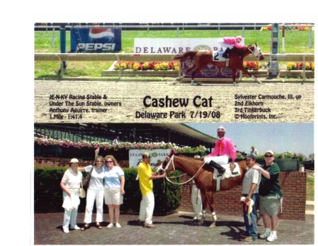 ca$hew cat is my winner