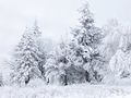 120px-Snow_Scene_at_Shipka_Pass_1