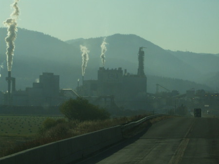 montana paper mill