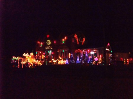 2009 christmas house 006