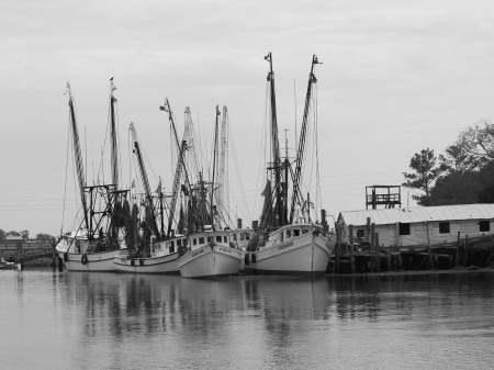 Shrimp boats at a Valona Dock