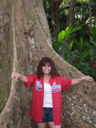 tree hugger in Fiji