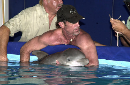 Steve McCulloch - Dolphin Rescue