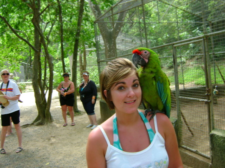 Parrots love Misty