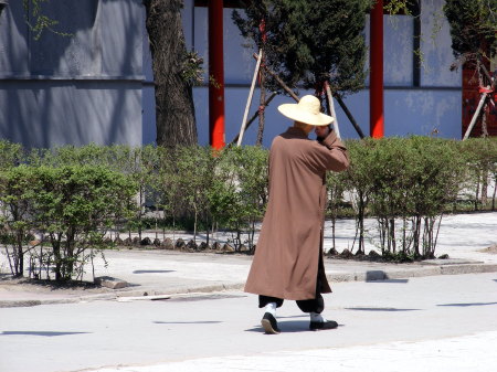 Strolling Monk