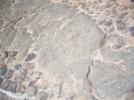 Ancient Hawaiian Petroglyph