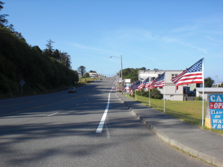 Avenue of flags