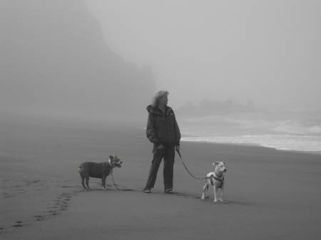 Northern California Coast