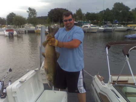 Lake Michigan King Salmon catch