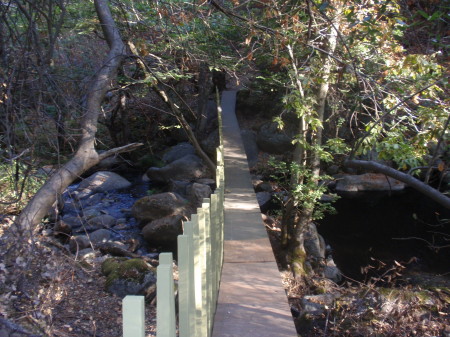 temporary foot bridge at Hawes Hollow