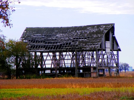 Fall  in Union County Ohio