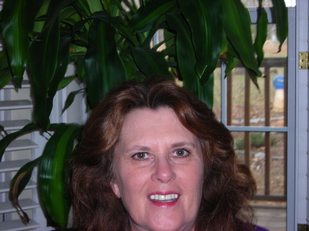 Kathy Turner Icenhour's Classmates® Profile Photo
