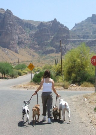 Wifey (Cindy) walking our dogs