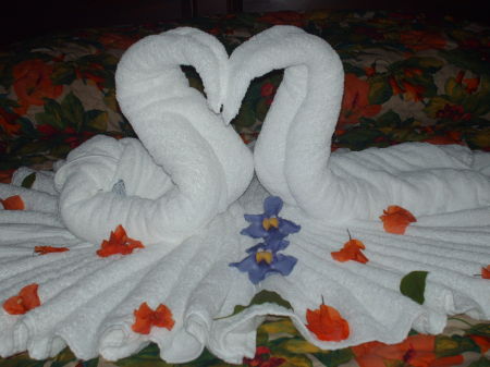 towel swans on our bed