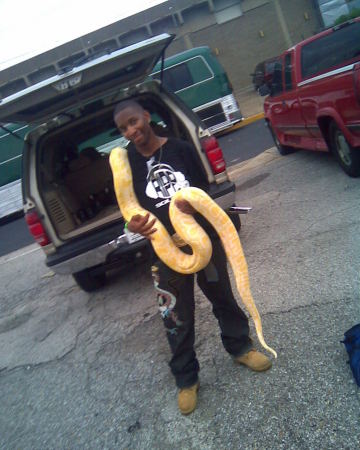 tj snake
