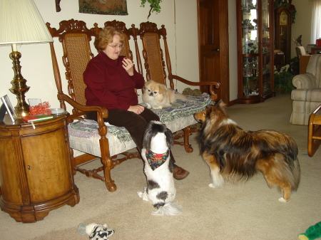 Barbara with three of our dogs...begging