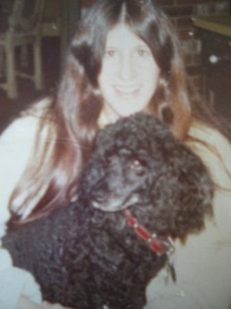 My French Poodle Midi in 1972