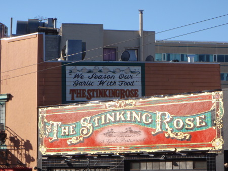 Stinkin Rose!!!+_San Francisco