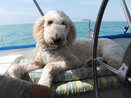 Life is good on a boat.