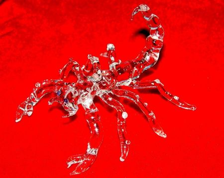 GLASS SCORPION