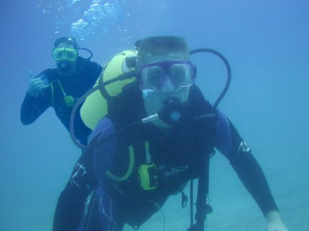 Diving Hawaii