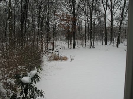 First snow Dec. '09