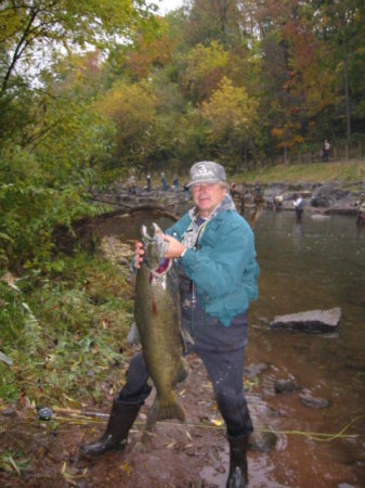 CHINOOK SALMON