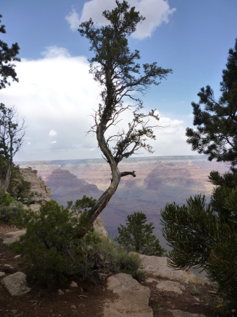 Grand Canyon May 2009