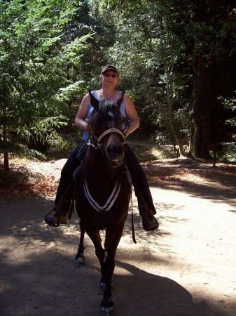 Mt Tam by Horseback