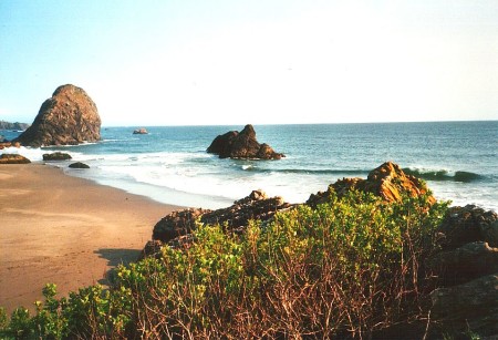 gorgeous__oregon coast etc_002