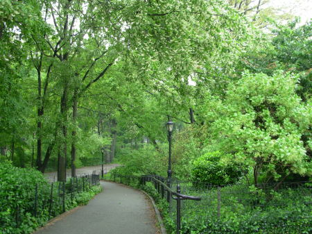 Central Park