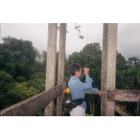 Amazon Bird Lookout