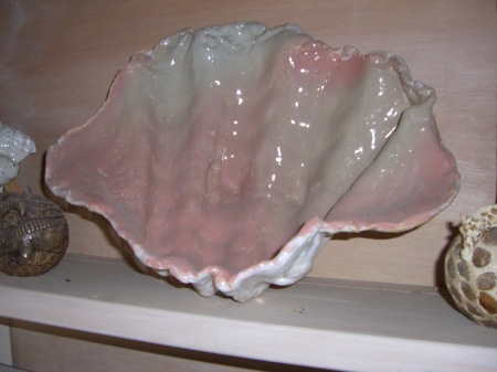 large sea shell by pamela