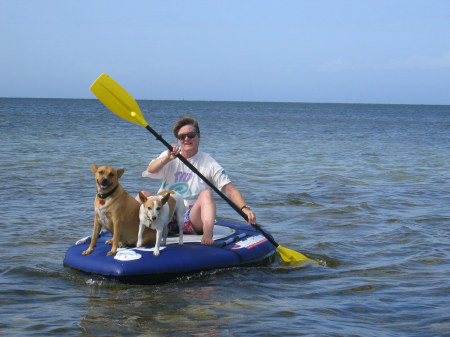 The dogs and me paddling