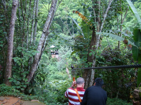 Zip-line through the jungle.