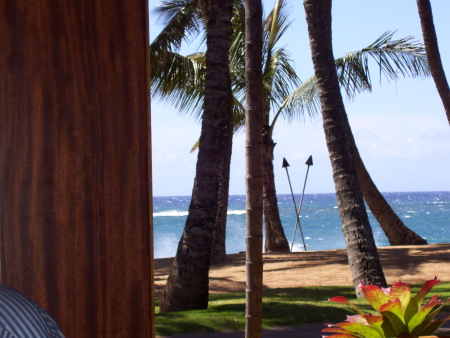 Lunch at the Fish Shack in Maui.