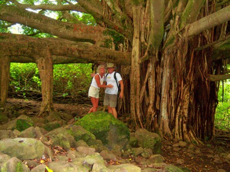 dee & boo big tree hana