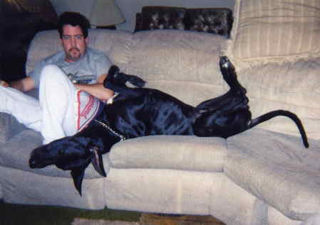 my first great dane