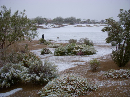 Back yard of my house in Vegas