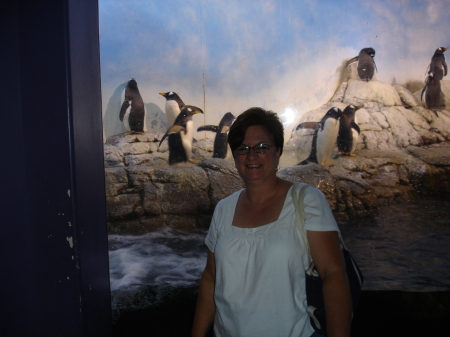 chere and penguins at the indy zoo 2008