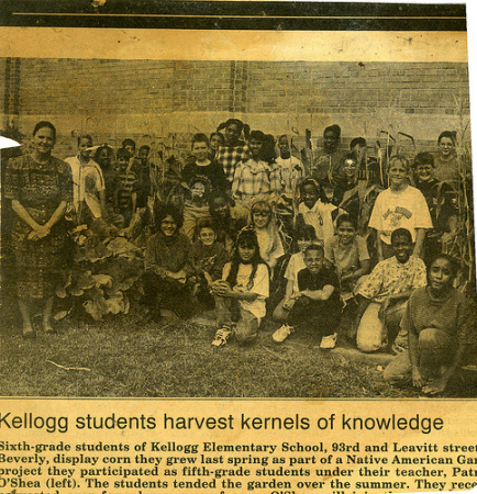 Kellogg School's Options for Knowledge Farm