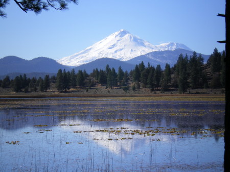 Mt Shasta reflected in Orr lake