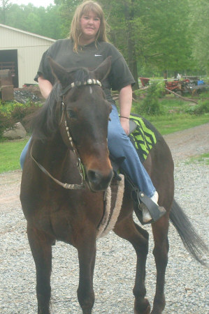 me and my horse harley